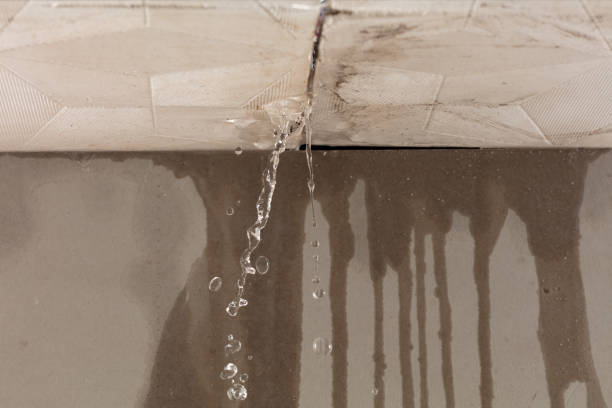 Professional Water Damage Inspection technician working in Laurel, FL